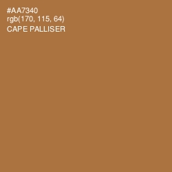 #AA7340 - Cape Palliser Color Image